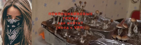 PSILOCYBIN Армянск