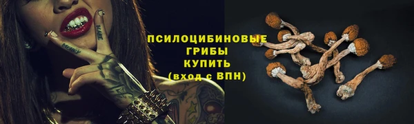 a pvp Аркадак