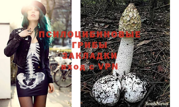 PSILOCYBIN Армянск