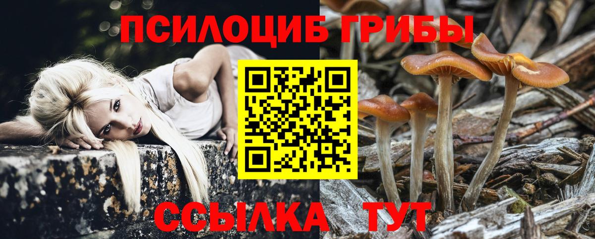 Псилоцибиновые грибы MAGIC MUSHROOMS Асбест
