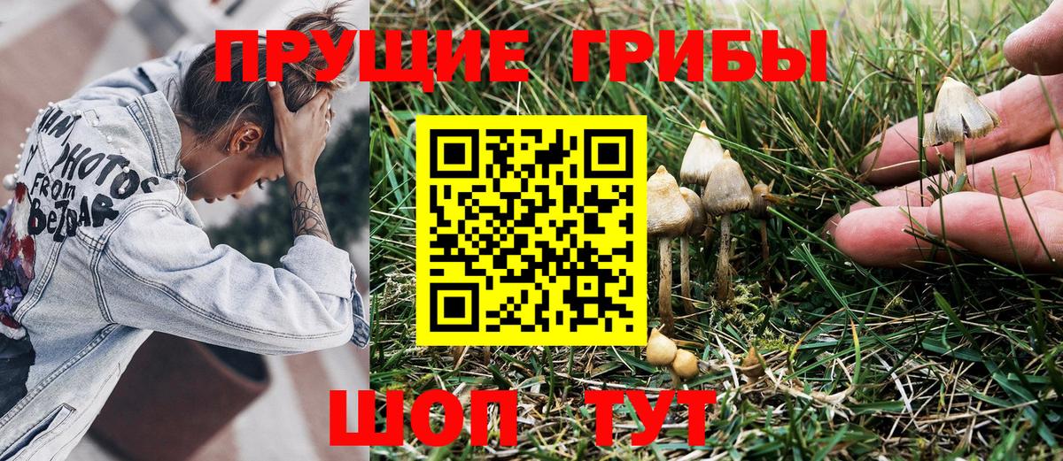 цена наркотик  Вход с VPN  Асбест  Псилоцибиновые грибы мицелий  Псилоцибиновые грибы MAGIC MUSHROOMS 